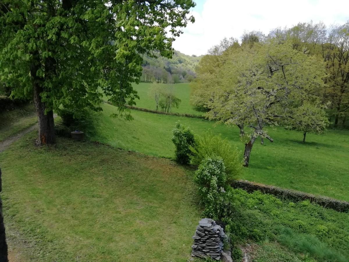 Maison A La Campagne Au Coeur Du Cantal Dept 15 Marmanhac Kültér fotó