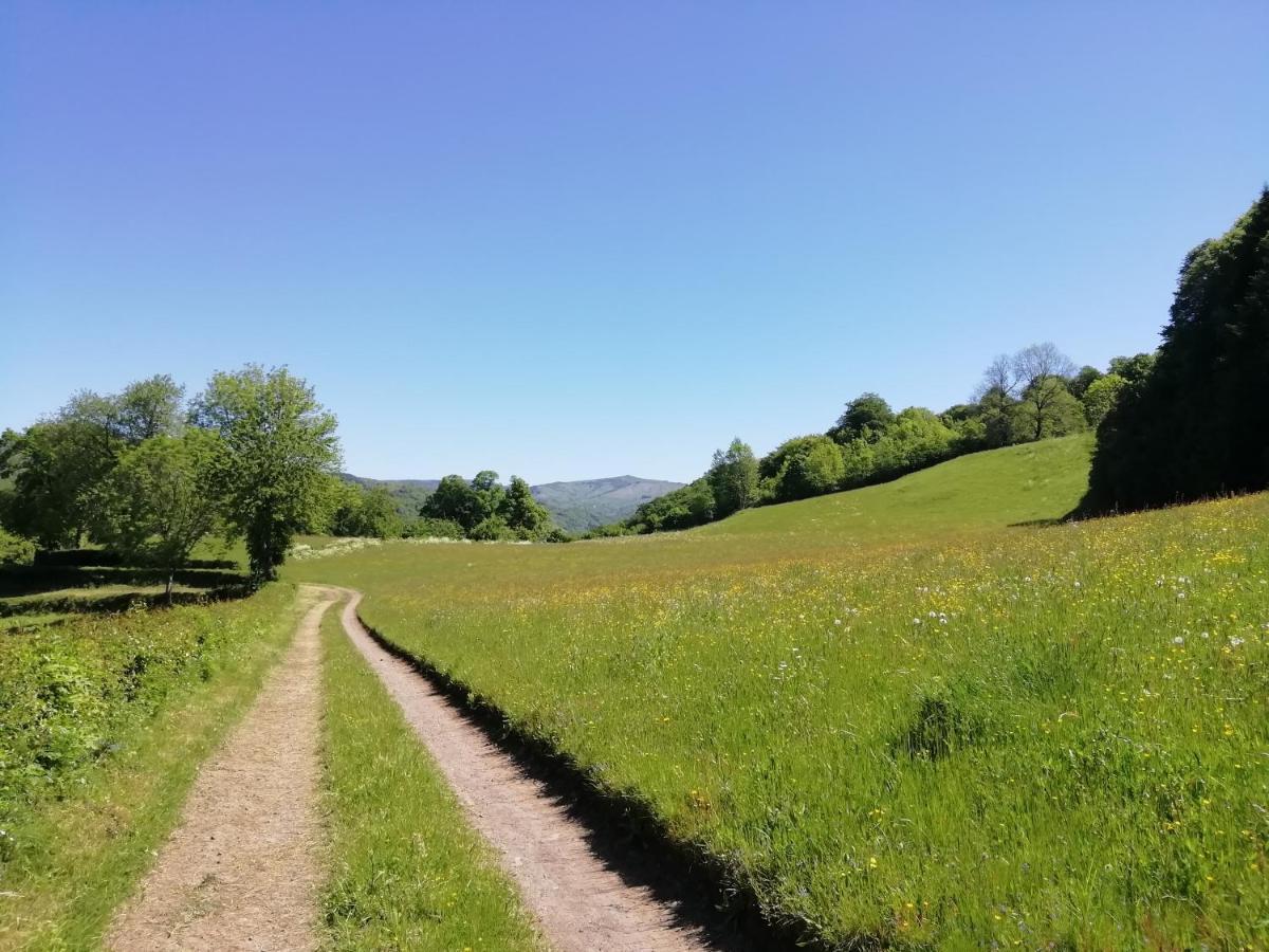 Maison A La Campagne Au Coeur Du Cantal Dept 15 Marmanhac Kültér fotó